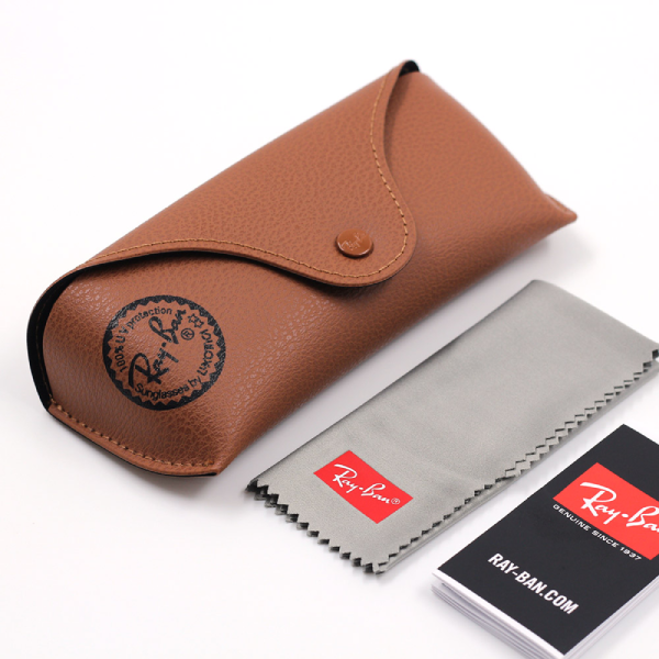 RAYBAN ERIKA RB4171F 601/2P 54 thumbnail 6